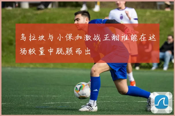 乌拉坎与小保加激战正酣谁能在这场较量中脱颖而出