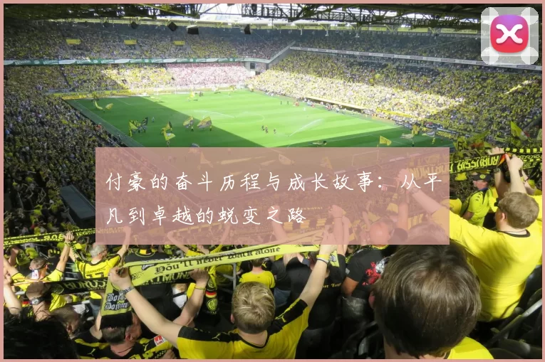 付豪的奋斗历程与成长故事：从平凡到卓越的蜕变之路