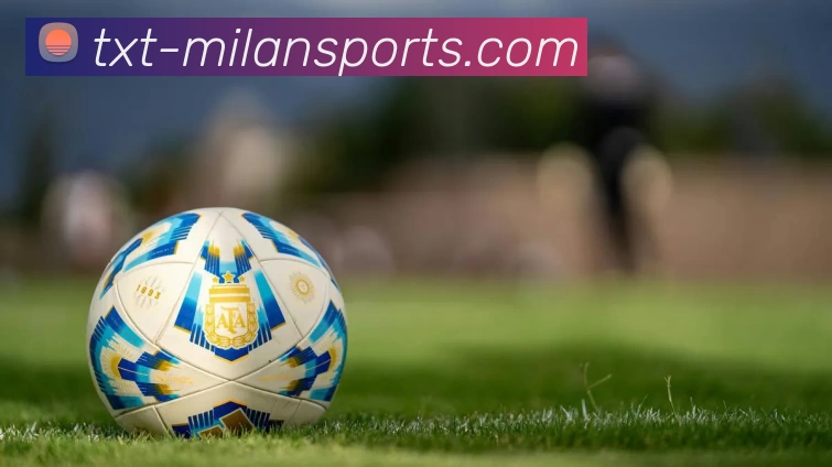 米兰体育官网平台生态图