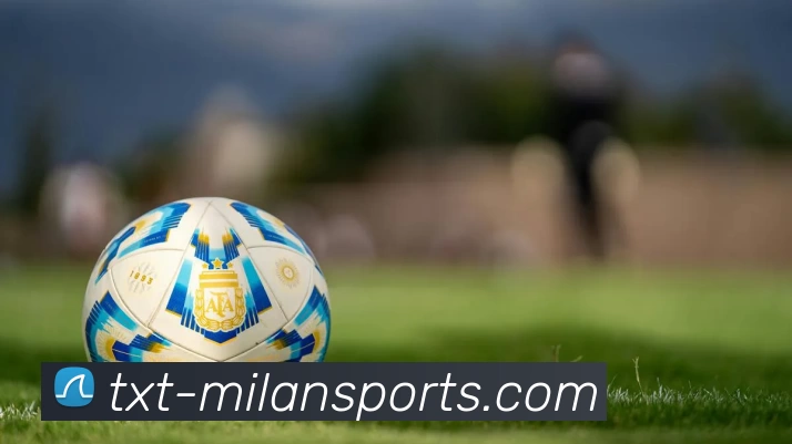 米兰体育官网APP 封面图